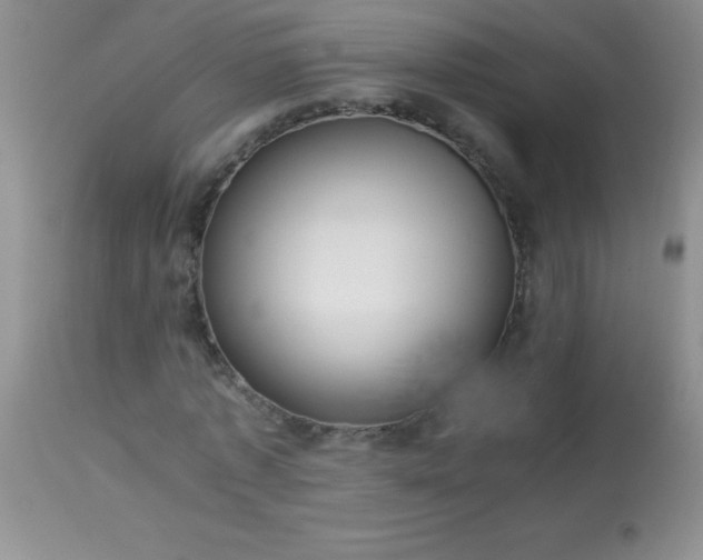 X0000114220773200910091346