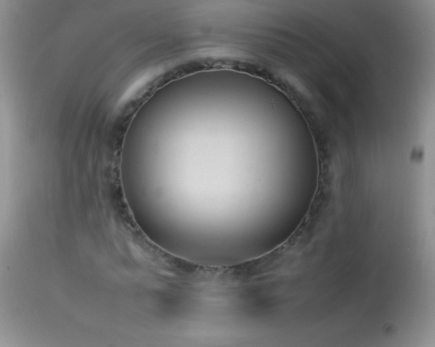 X0000114220775200910091346