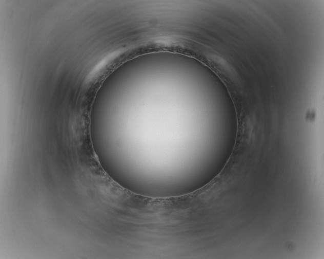 X0000114220776200910091346