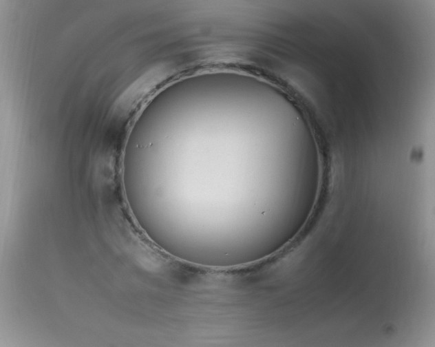 X0000114220777200910091346
