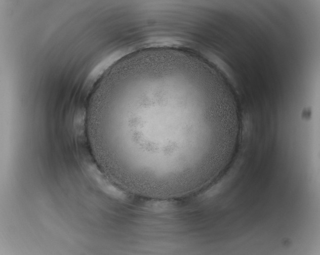 X0000114220778200910091346