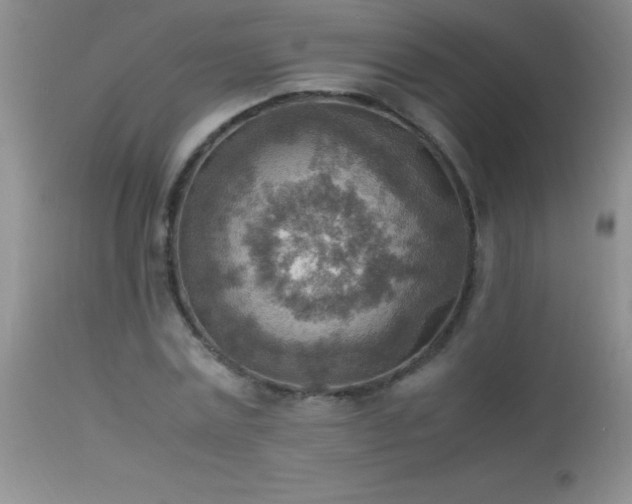 X0000114220779200910091346