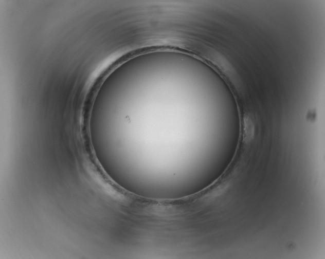 X0000114220780200910091346