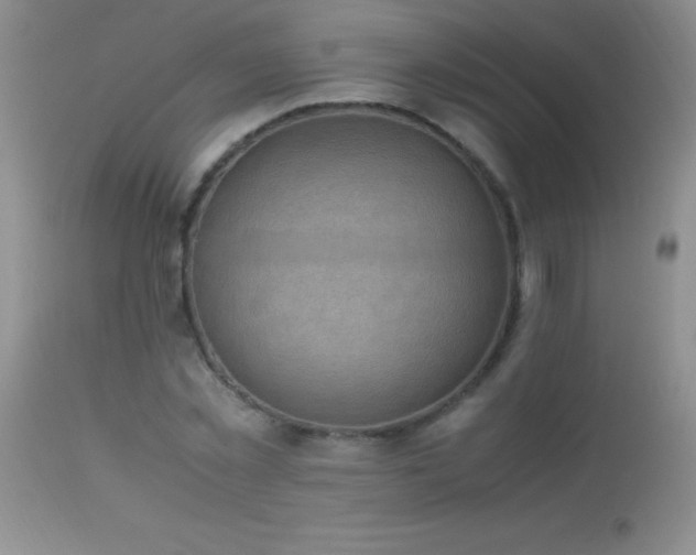 X0000114220781200910091346