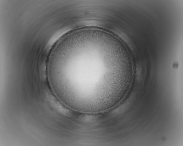 X0000114220782200910091346