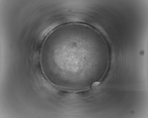 X0000114220785200910091346