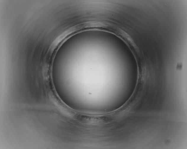 X0000114220786200910091346