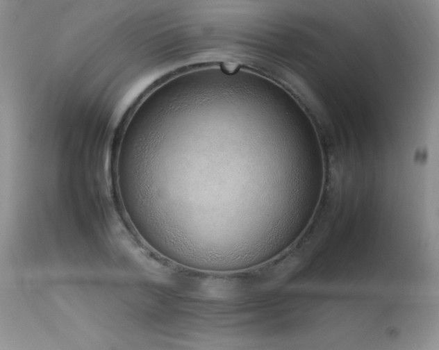 X0000114220788200910091346