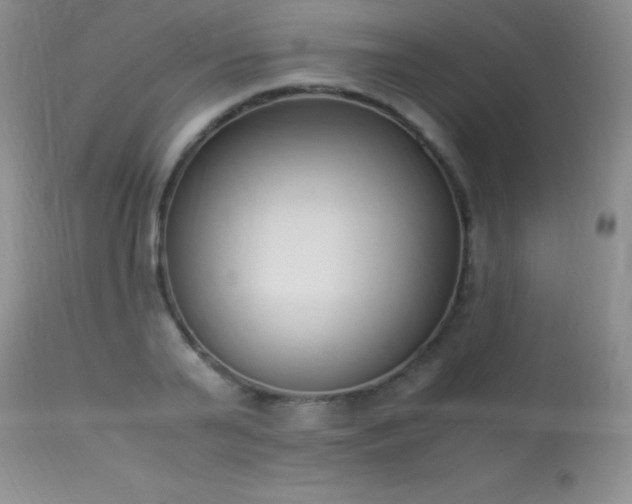 X0000114220791200910091346