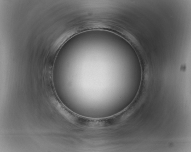 X0000114220793200910091346