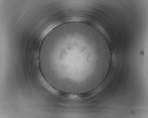 X0000114220794200910091346