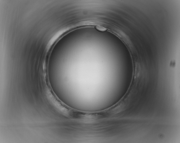 X0000114220796200910091346
