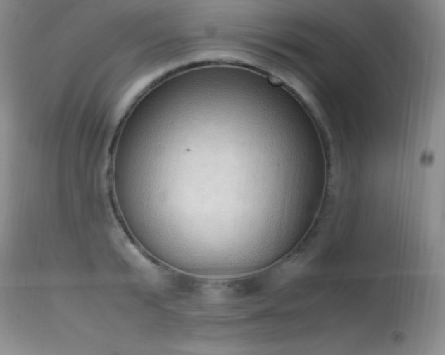 X0000114220799200910091346
