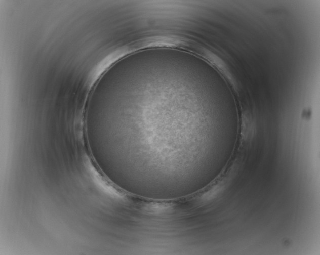 X0000114220802200910091346