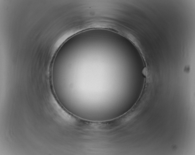 X0000114220803200910091346
