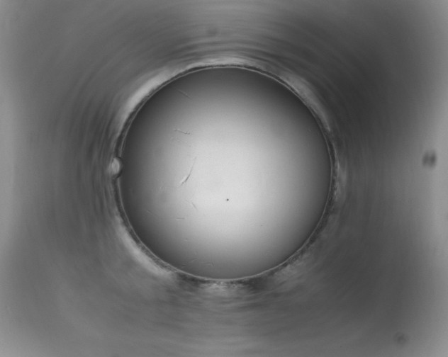 X0000114220805200910091346