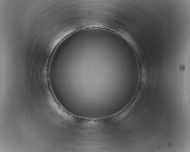X0000114220806200910091346