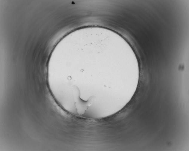 X0000114220807200910091346