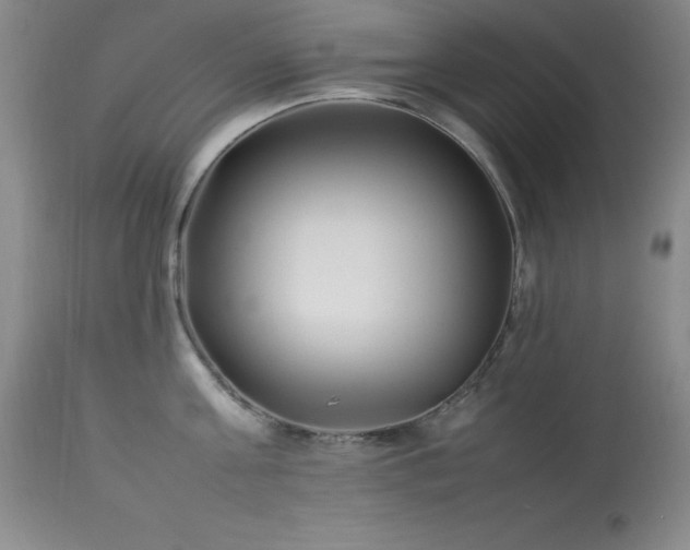 X0000114220811200910091346