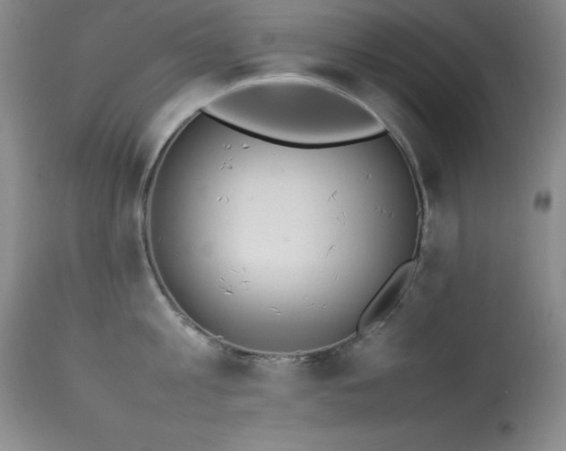X0000114220813200910091346