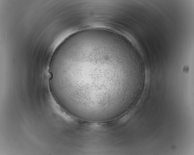 X0000114220814200910091346