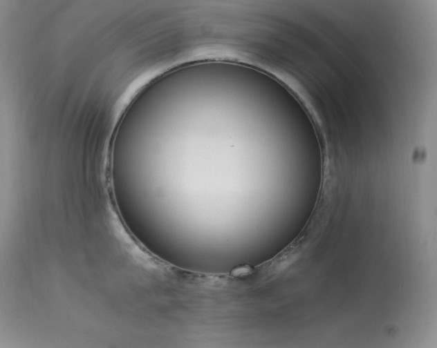 X0000114220815200910091346