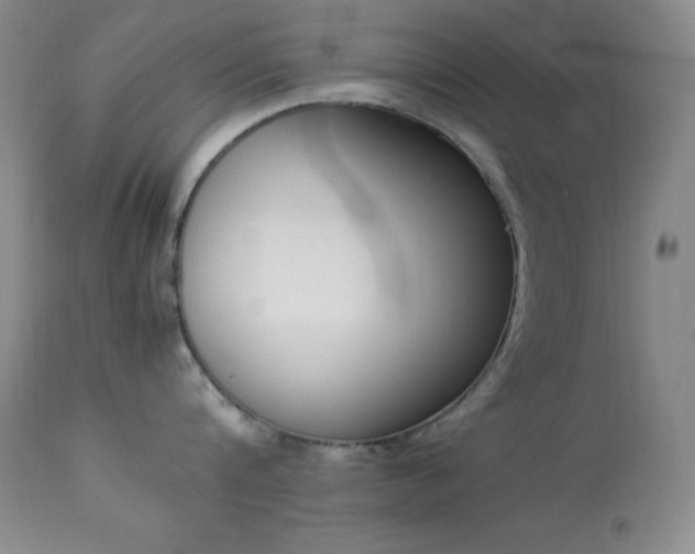 X0000114220816200910091346