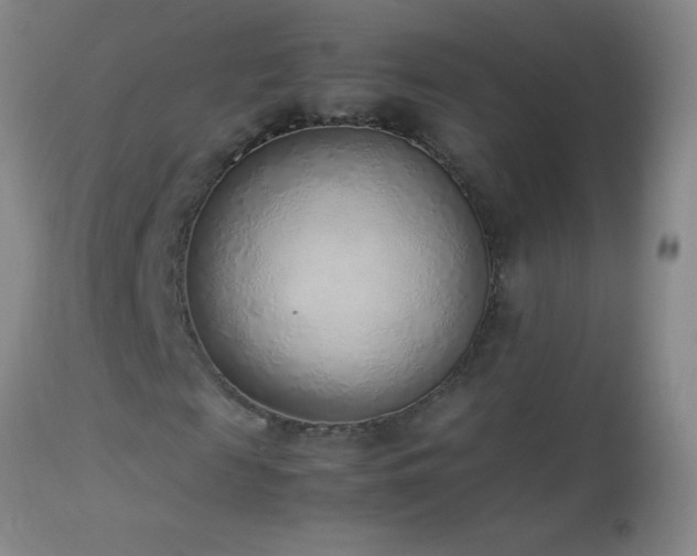 X0000114220817200910091345