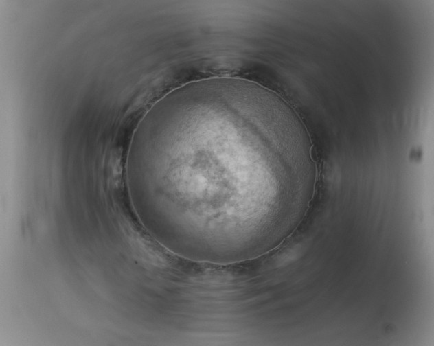 X0000114220818200910091345
