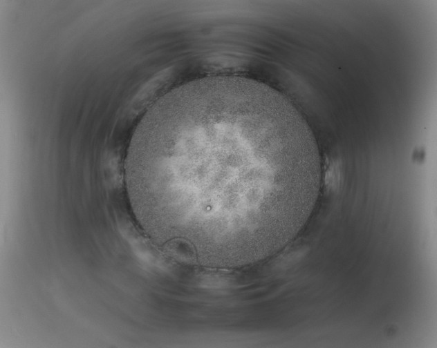 X0000114220819200910091345