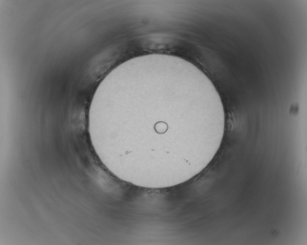 X0000114220820200910091345