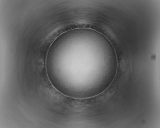 X0000114220821200910091345