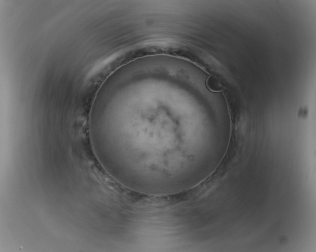 X0000114220822200910091345