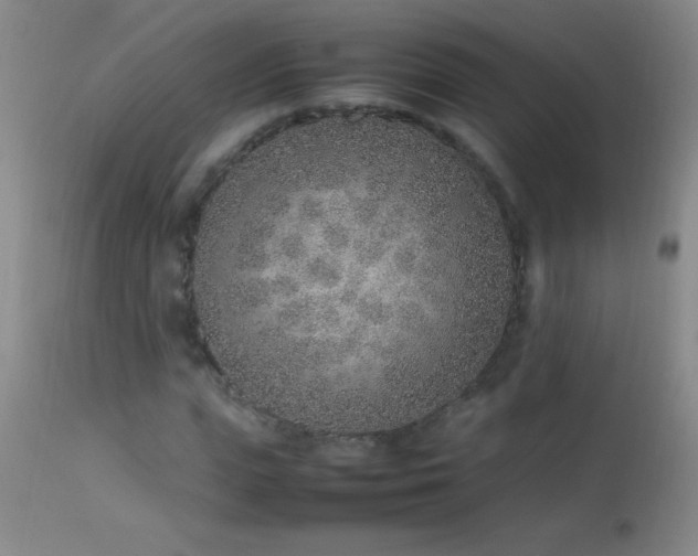 X0000114220823200910091345