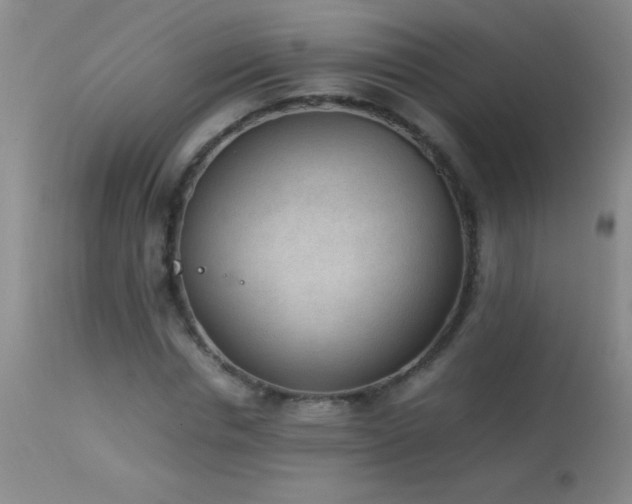 X0000114220826200910091345