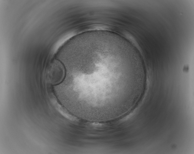 X0000114220827200910091345