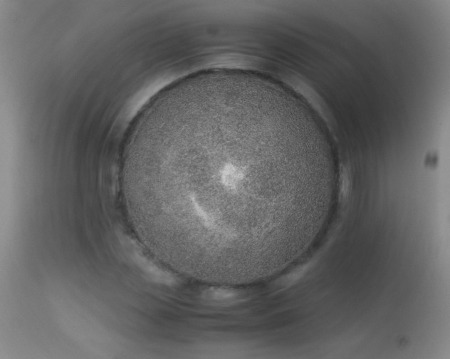 X0000114220829200910091345