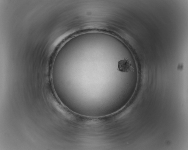 X0000114220830200910091345