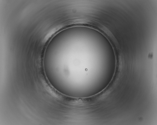 X0000114220834200910091345