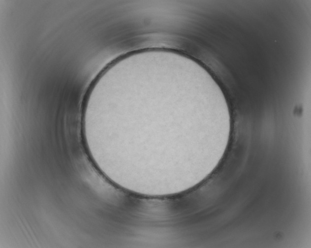 X0000114220836200910091345