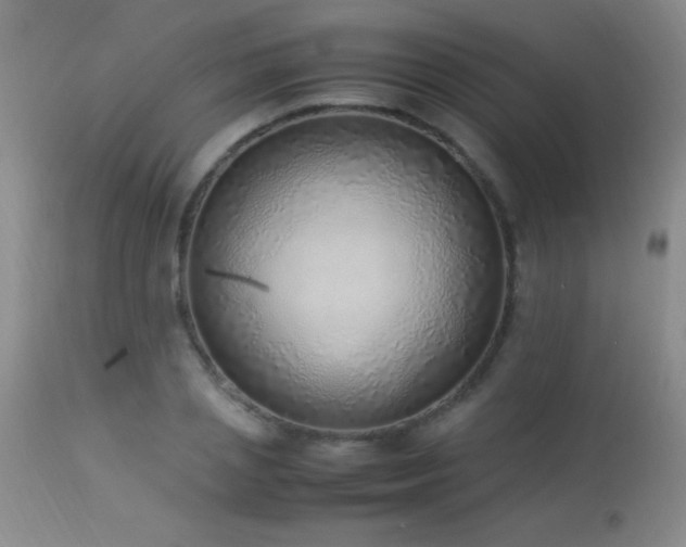 X0000114220837200910091345