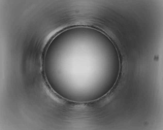 X0000114220838200910091345