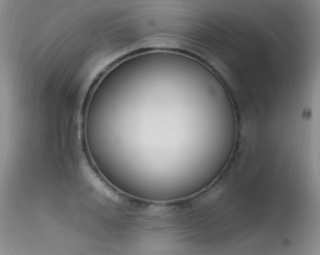 X0000114220840200910091345