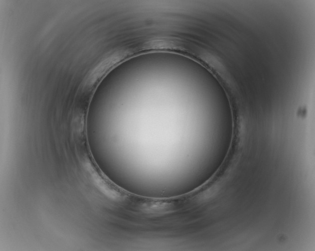 X0000114220841200910091345
