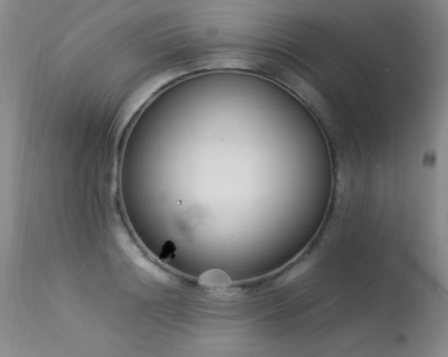 X0000114220844200910091346