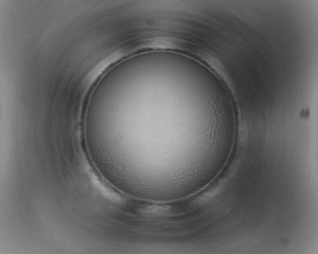 X0000114220845200910091346