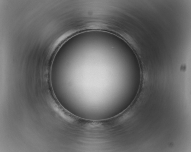 X0000114220846200910091346