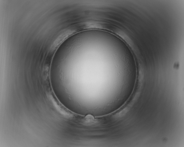 X0000114220849200910091346