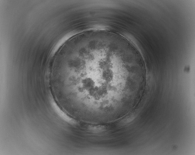 X0000114220851200910091346