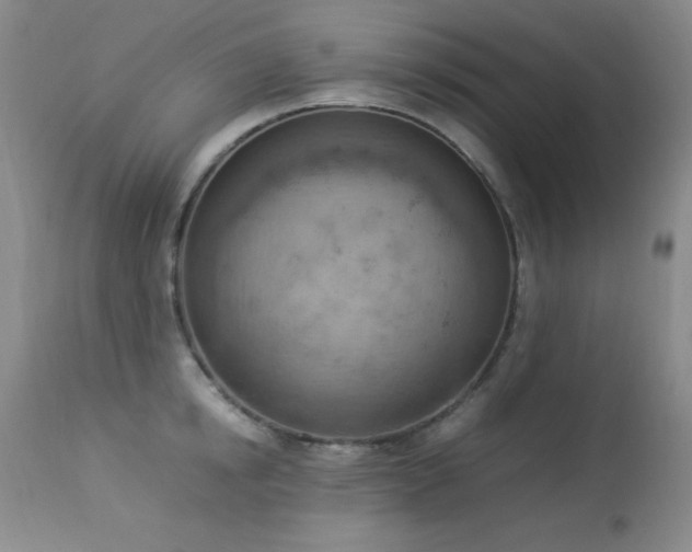 X0000114220854200910091346